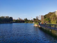 -四海公园(南山区)