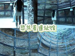 -中国西峡恐龙遗迹园
