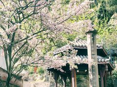 -凤栖山