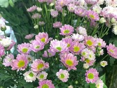 -亭亭鲜花店(中山北路店)