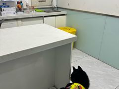 -达爱动物医院·犬猫分区·CT·复杂眼科(远洋山水分院)
