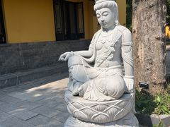 -灵谷景区