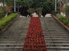 -广州神农草堂中医药博物馆