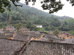 -杨家堂村