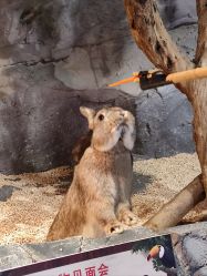 -Zoolung Zoolung动物主题公园(海信广场店)