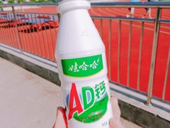 -山东外贸职业学院