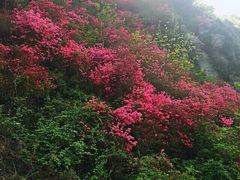 -木兰云雾山