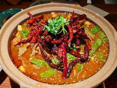 秦椒油泼岭南黄牛肉-薇酌饮·陕西菜(南门外店)