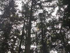 -福清灵石山国家森林公园