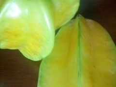 -柯剑飞超级水果批发中心(东港店)