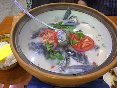 -全乐鱼馆·淳牌有机鱼直营店