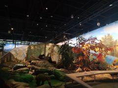 -武汉园博园(武汉自然博物馆)