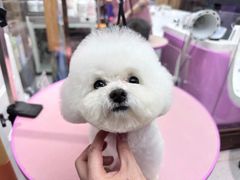 -FAELING PETS美天灵宠物(富力广场店)