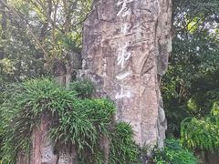 -峨眉山报国寺
