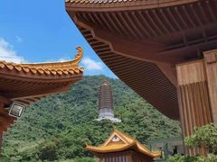 -深圳仙湖植物园
