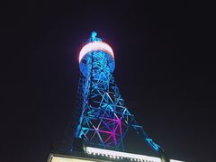 -金鸡山公园