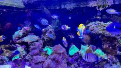 -Zoolung Zoolung动物主题公园(海信广场店)