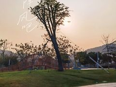 -白石龙音乐公园