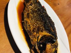 罗非鱼-怡得观滇餐厅·地道昆明菜·1996(海埂大坝店)