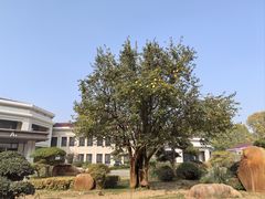 -河南省黄河迎宾馆