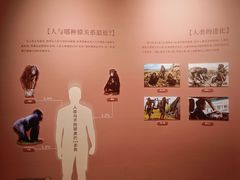 -陕西自然博物馆