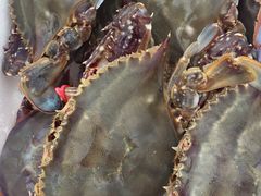 -岚桥锦江大酒店-瑞泰西餐厅