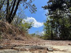 -辛安庄鸡鸣山景区