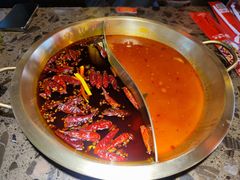 番茄鸳鸯锅-小龙坎火锅(常营店)