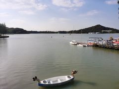 -上海月湖雕塑公园
