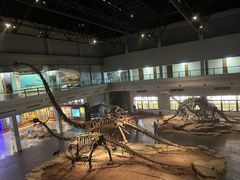 -自贡恐龙博物馆