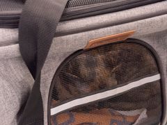 -北京观赏动物医院·24小时大型综合·猫专科·异宠专科