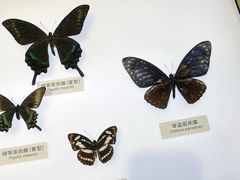 -中国湿地博物馆