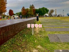 -滆湖低碳生态公园