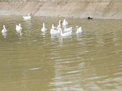 -武汉世外桃源农庄