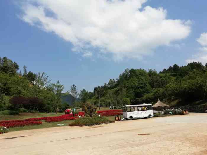 金海雪山四季花谷门票图片