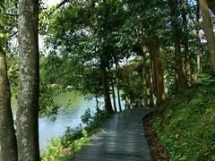 -广州市石门国家森林公园