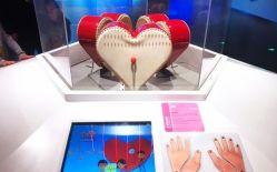 -北京科学中心儿童乐园