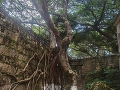 -胡里山炮台