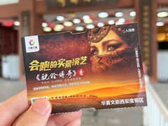 -《驼铃传奇》秀