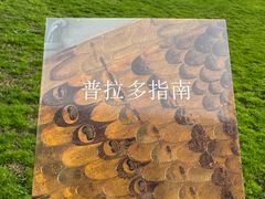 -普拉多博物馆