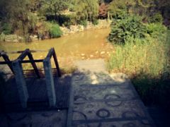 -黔蘑菇四季餐厅(观山湖店)