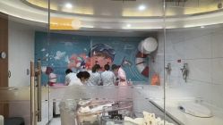 -中法母婴月子中心(南湖创始店)