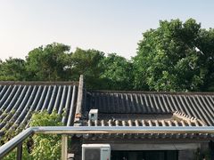 -糖房咖啡(南锣鼓巷店)