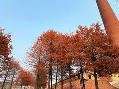 -祝甸砖窑文化馆