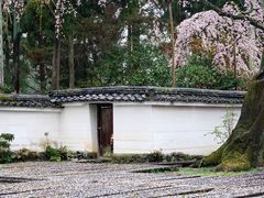 -醍醐寺
