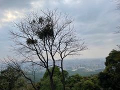 -广州市白云山风景名胜区