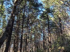 -白草畔自然风景区