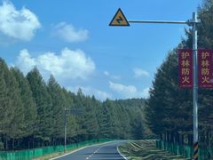 -塞罕坝国家级自然保护区