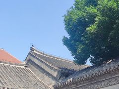 -张学良旧居陈列馆