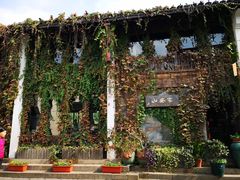 -运河游船(武林门码头)